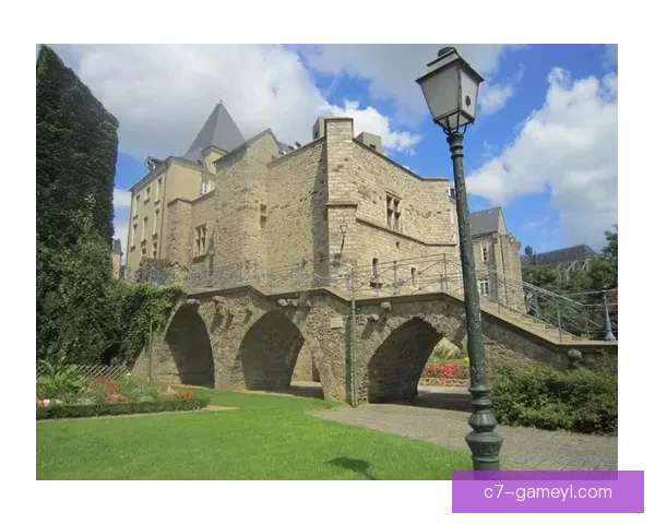 雷恩转会风云西部法国答疑订户