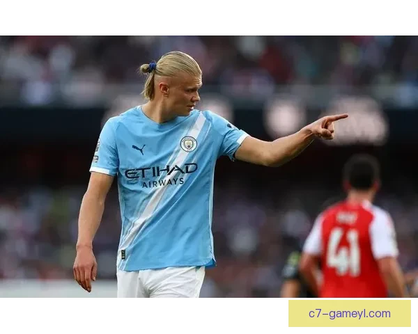 哈兰德自省进球不多需提升中锋 哈兰德自省进球不多需提升中锋