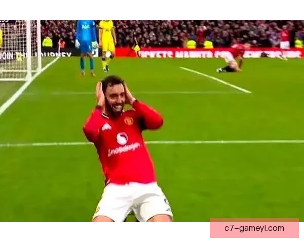 记者曼联力挺达洛特卡里克支持 记者曼联力挺达洛特卡里克支持